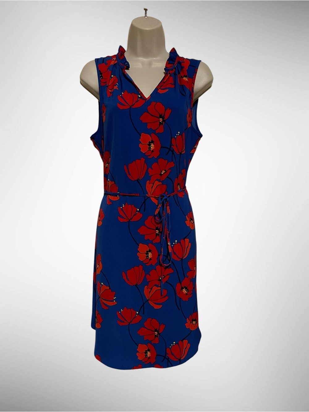 41 Hawthorn Blue and Red Poppies Floral Sleeveless V-Neck Dress